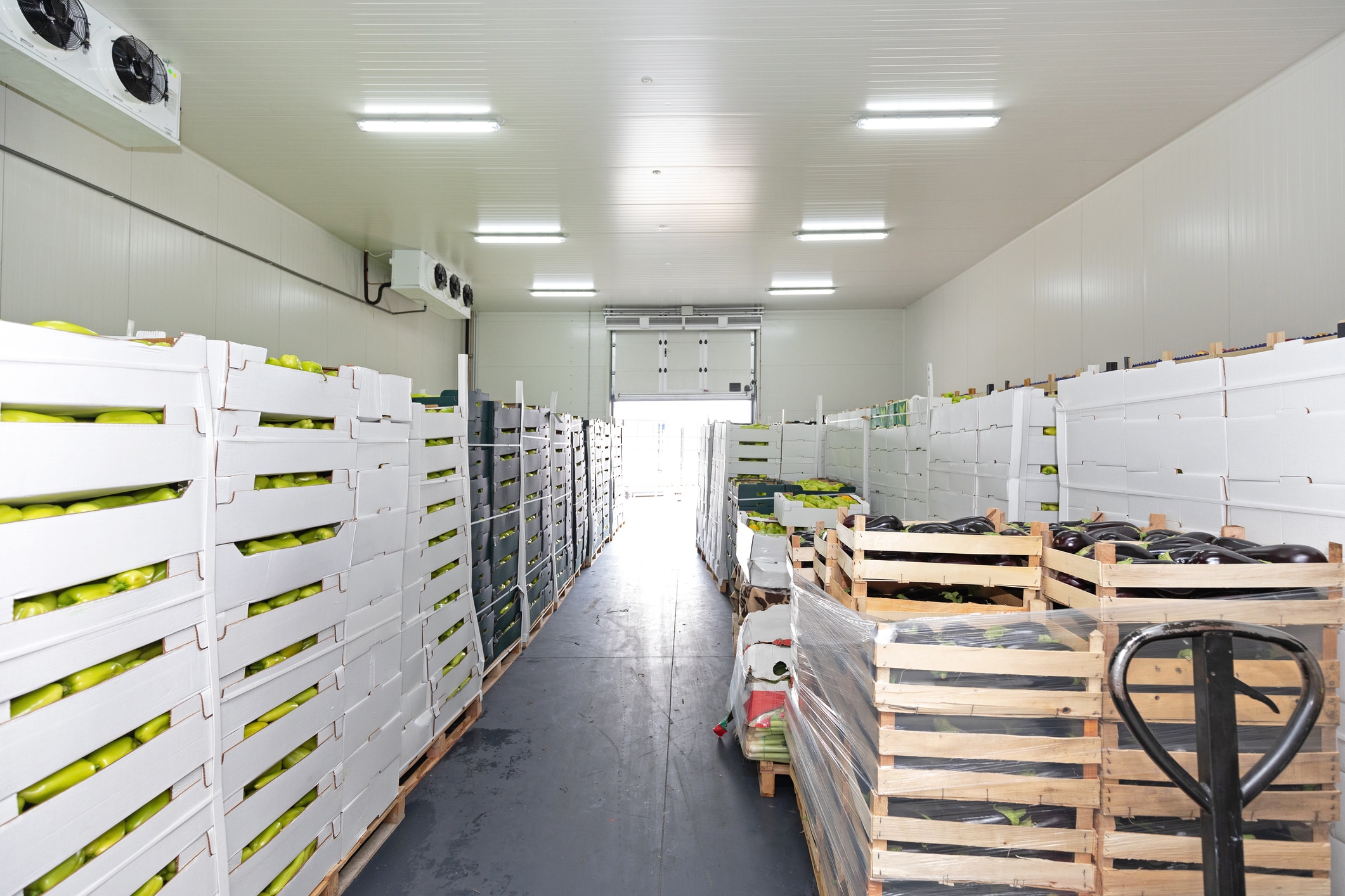 Northwest cold storage facility utilizing Solstice L40X (R-455A) refrigerant