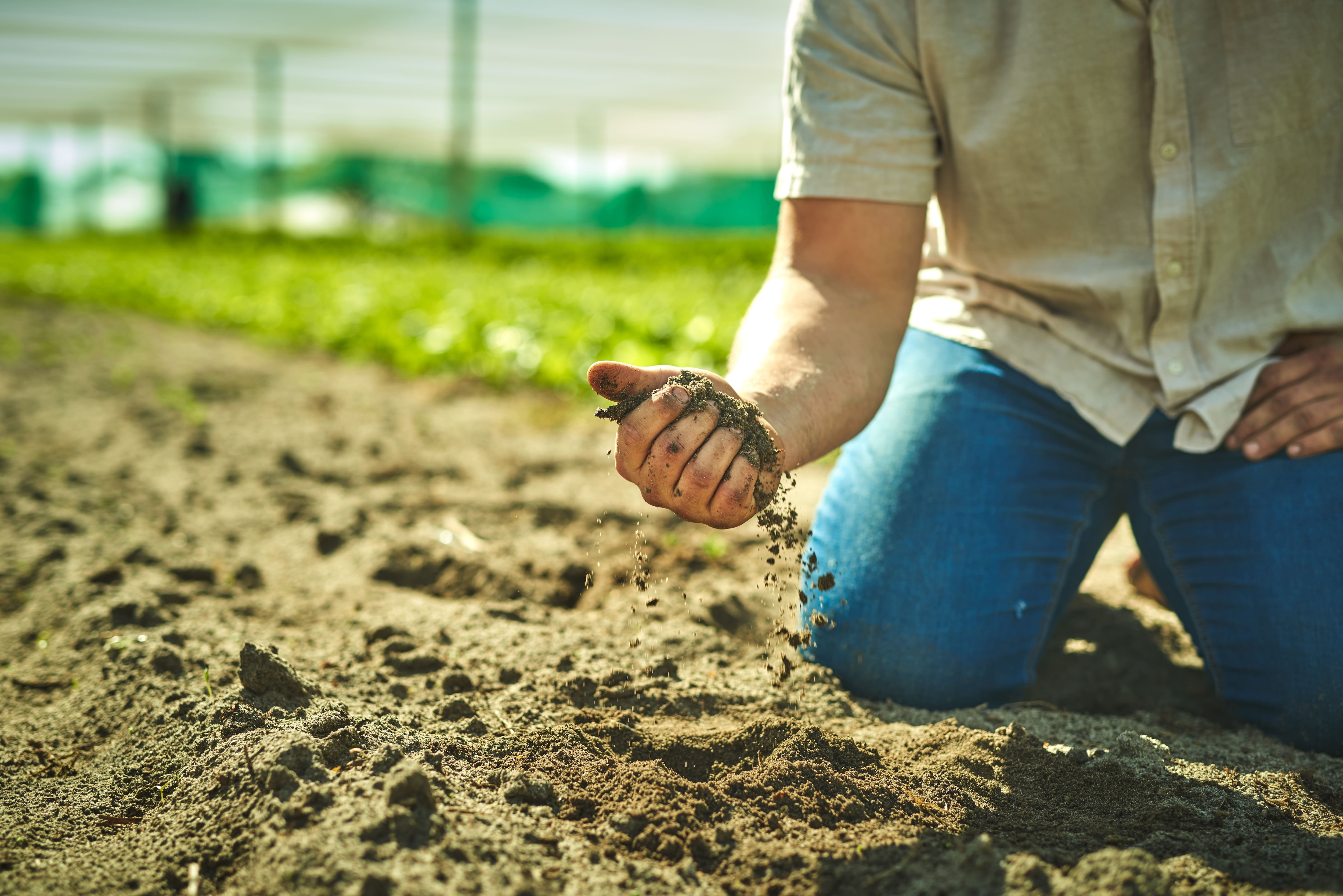 PFAS testing in soil