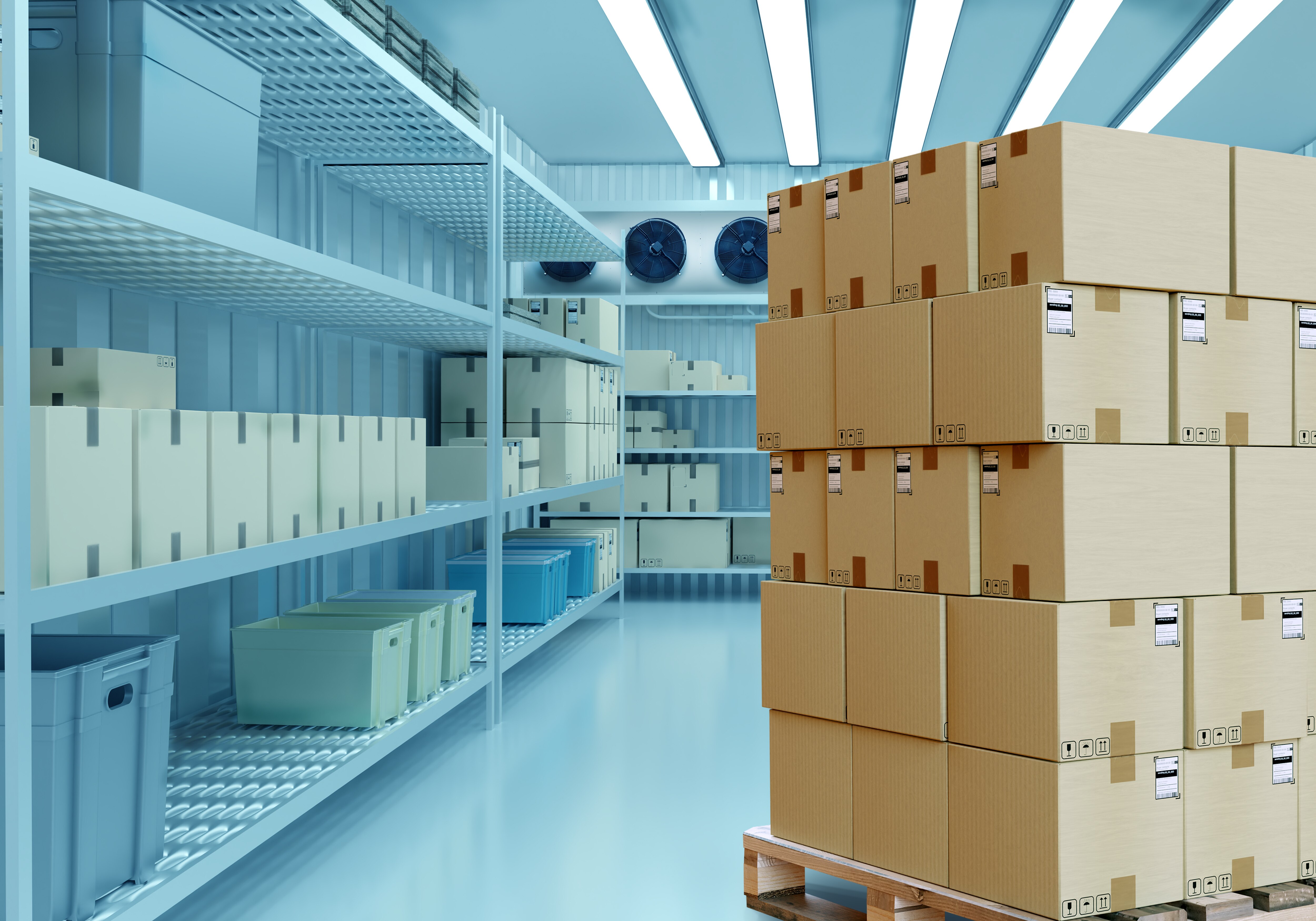 Interior of a commercial cold storage room with shelving and stacked boxes